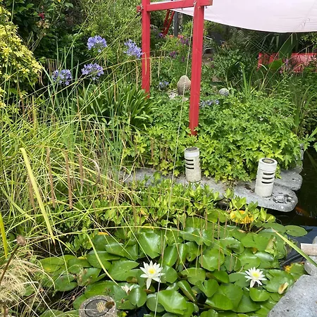 Domus26 Meridional 3* Montaigu-Vendee