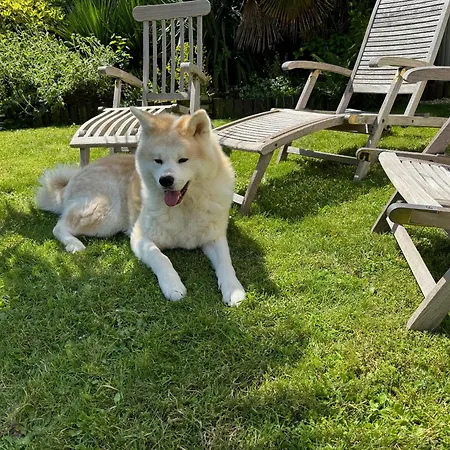 Domus26 Meridional Montaigu-Vendee