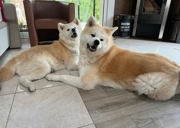 Domus26 Meridional Maison d'hôtes