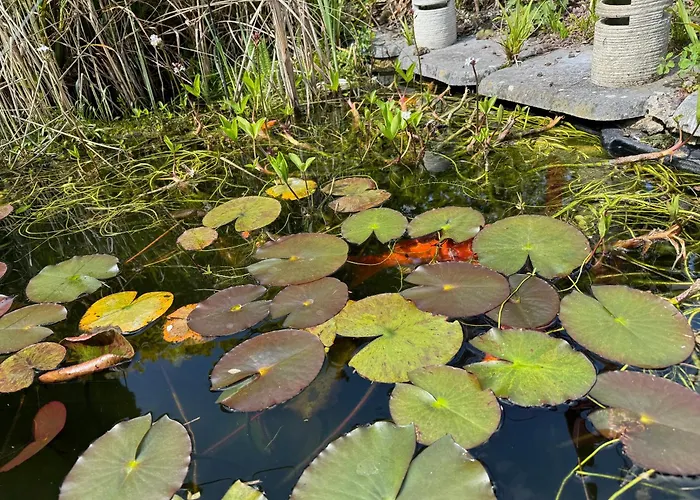 Guest house Domus26 Meridional