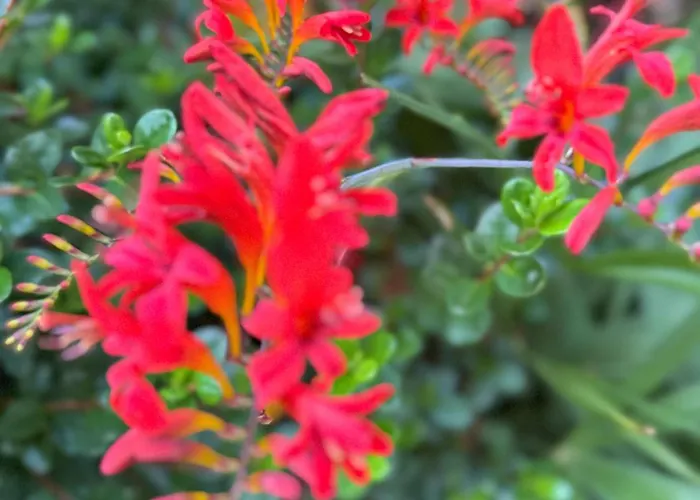 Domus26 Meridional Maison d'hôtes 3*