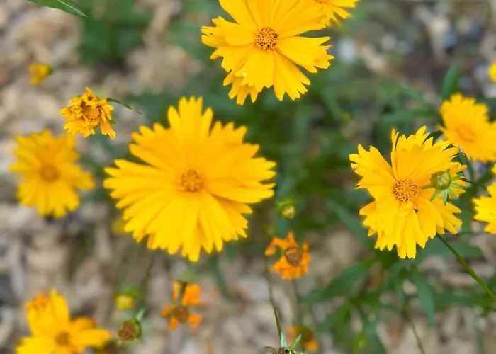 Domus26 Meridional Guest house