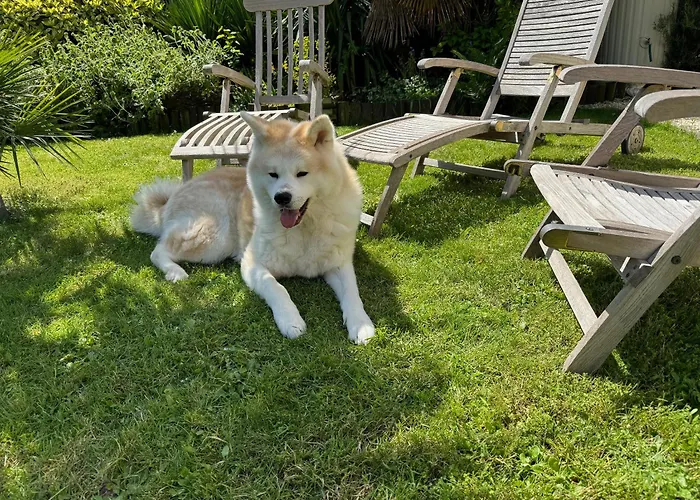 Domus26 Meridional Montaigu-Vendee